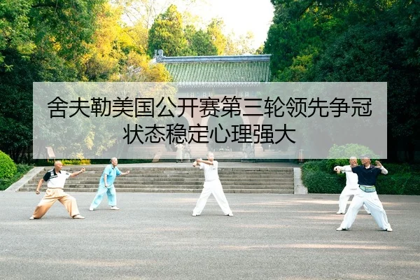 she-fu-lei-mei-guo-gong-kai-sai-di-san-lun-ling-xian-zheng-guan-zhuang-tai-wen-ding-xin-li-qiang-da-2-362.jpg