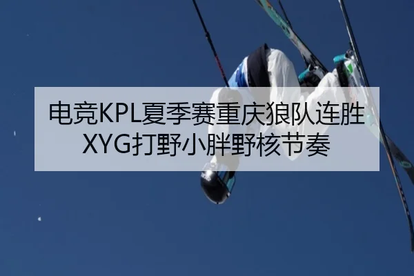 电竞KPL夏季赛重庆狼队连胜XYG打野小胖野核节奏